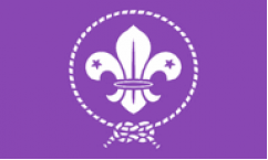 Scouts Purple Flags